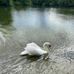Photo n°1 de l'avis de ShiRuBiYa. fait le 06/07/2023 à 04:05 sur le  SEEHAUS im Englischen Garten à Munich