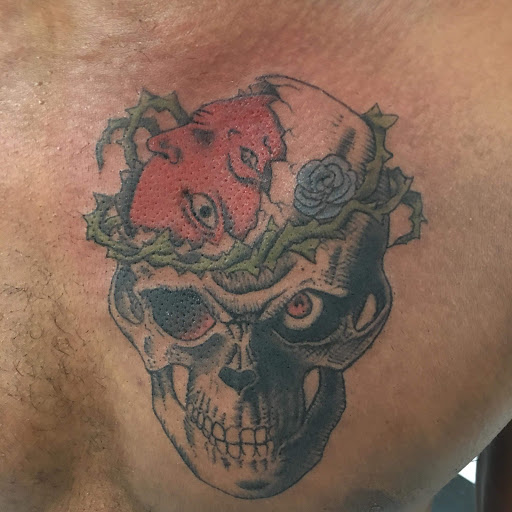 Explore antler tattoo ideas, creative tattoo ideas in Augusta, available at Mr. Tattoo