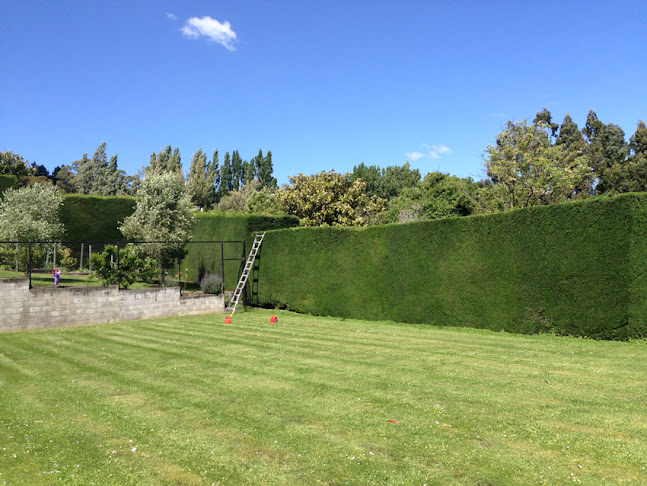 Reviews of Ace Outdoors Ltd in Christchurch - Landscaper