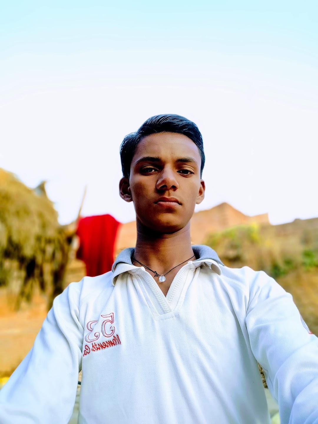 नीतीश कुमार यादव एक सारी बीघा