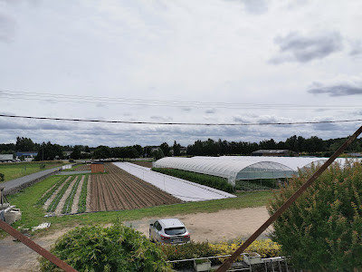 FERME DES CHAPELLES à Loire-Authion