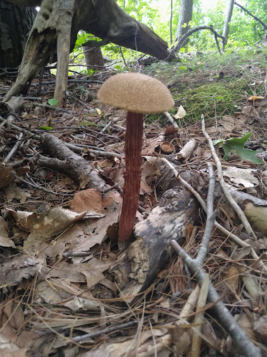 Golf Club «Crystal Lake Golf Club», reviews and photos, 940 N Broadway, Haverhill, MA 01832, USA