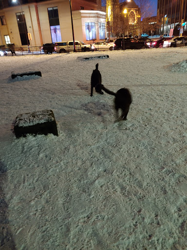 Dog Park «Gateway Dog Park», reviews and photos, 1099 S 4th Ave, Minneapolis, MN 55404, USA