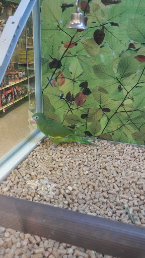 Pet Supply Store «PetSmart», reviews and photos, 5214 Blanche Moore Dr, Corpus Christi, TX 78411, USA