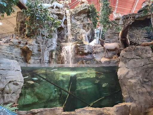 Sporting Goods Store «Bass Pro Shops», reviews and photos, 6425 Daniel Burnham Dr, Portage, IN 46368, USA