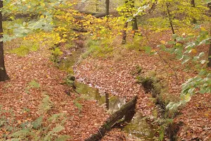 Hiesfelder Wald image