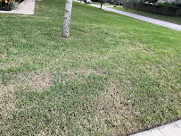 Pioneer Pest Services Inc. - Photo 4 - Car repair in DeLand, FL, Deltona