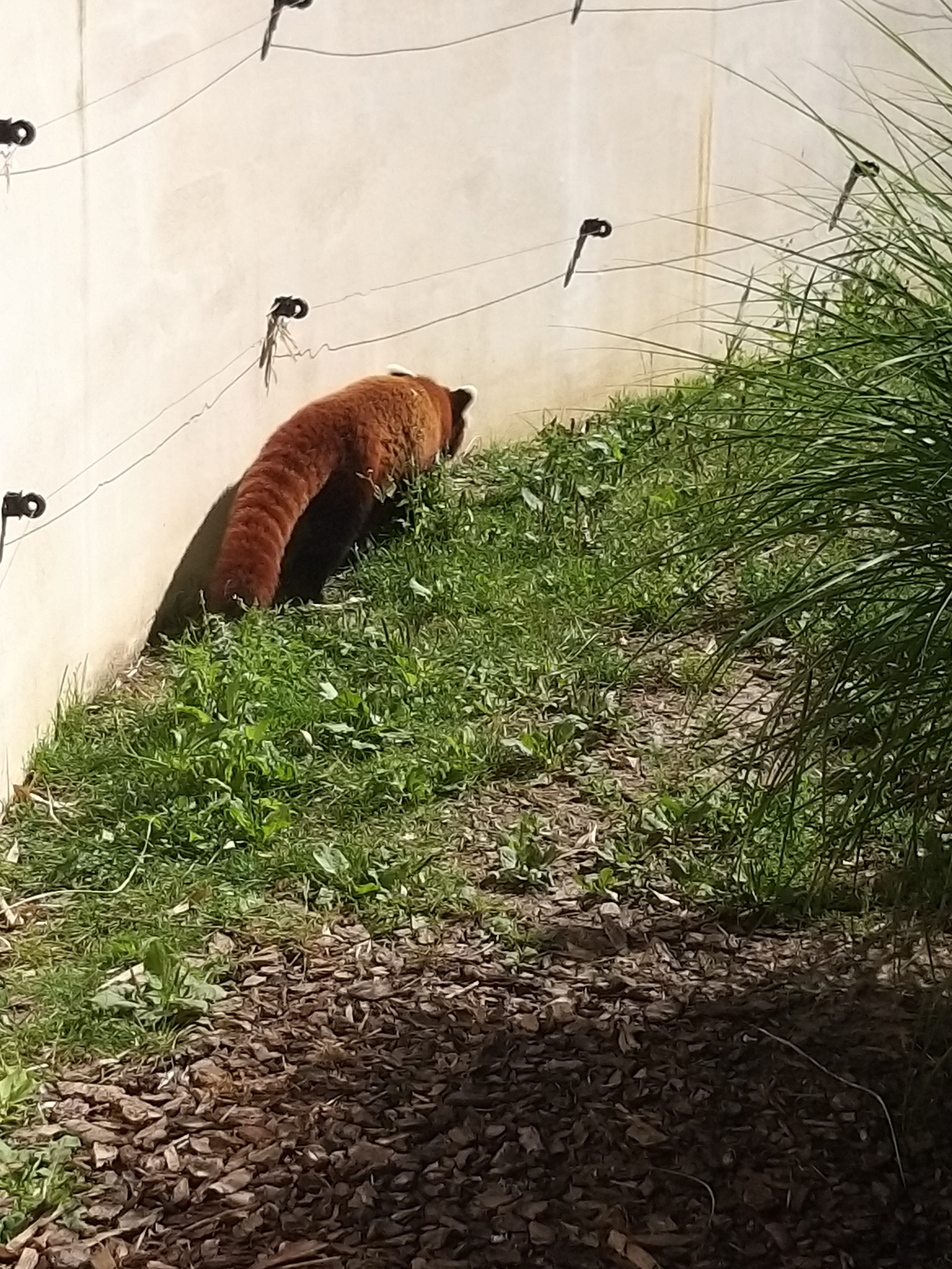 Photo n° 1 de l'avis de Angelique.a fait le 25/08/2019 à 15:14