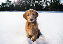 Maggie Svendsen Photography - Photo 3 - Car repair in , Minneapolis