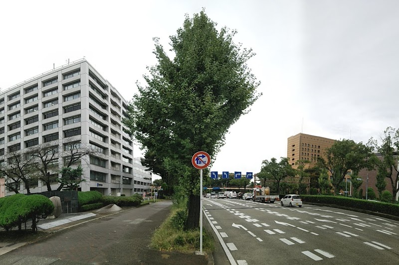 NTT西日本 三の丸ビル