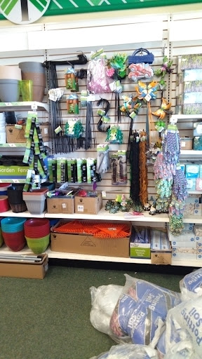 Dollar Store «Dollar Tree», reviews and photos, 266 N Telegraph Rd, Pontiac, MI 48341, USA