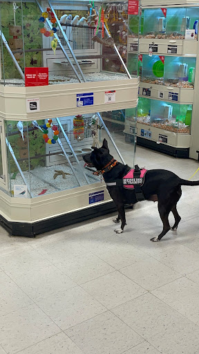 Pet Supply Store «PetSmart», reviews and photos, 111 Nassau Park Blvd, Princeton, NJ 08540, USA