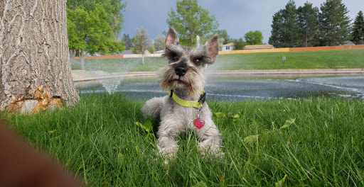 Park «Olympic Park», reviews and photos, 15501 E Yale Ave, Aurora, CO 80013, USA