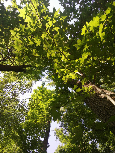 Office Supply Store «Staples», reviews and photos, 2329 Street Rd, Bensalem, PA 19020, USA