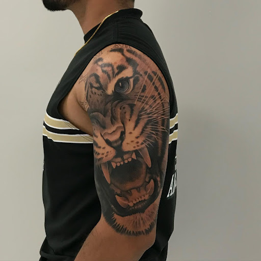 Book Store «Trents Bookshelf», reviews and photos, 8139 Elk Grove Blvd, Elk Grove, CA 95758, USA