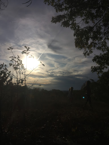 Nature Preserve «Cotton Hollow Preserve», reviews and photos, 493 Hopewell Rd, South Glastonbury, CT 06073, USA