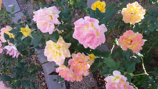 Performing Arts Theater «The Smith Center», reviews and photos, 361 Symphony Park Avenue, Las Vegas, NV 89106, USA