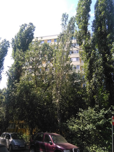 Bl. 2C, Sc. 3 Ap.92, Strada Ion Berindei 9, București, România
