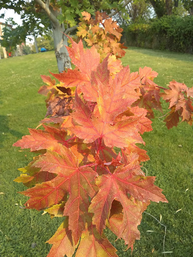 Market «Pybus Public Market», reviews and photos, 3 N Worthen St, Wenatchee, WA 98801, USA