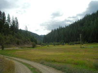 Cathy Mayer, Keller Williams Realty, Independent Consultant - Photo 9 - Car repair in Coeur d'Alene, ID, Coeur d'Alene