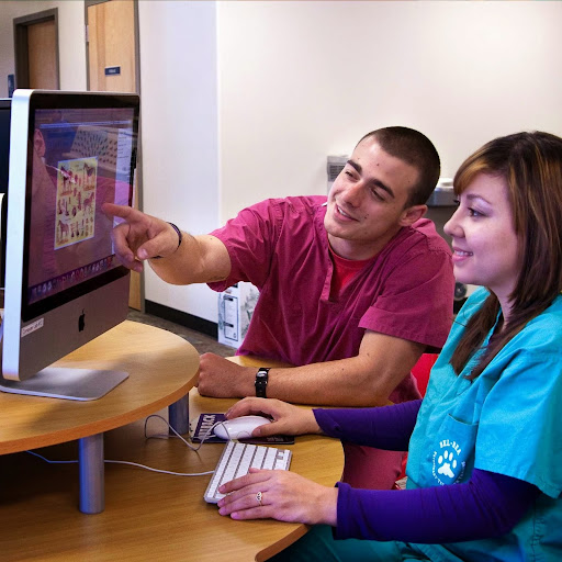 College «Bel-Rea Institute of Animal Technology», reviews and photos