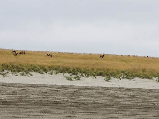 Golf Club «Gearhart Golf Links», reviews and photos, 1157 N Marion Ave, Gearhart, OR 97138, USA