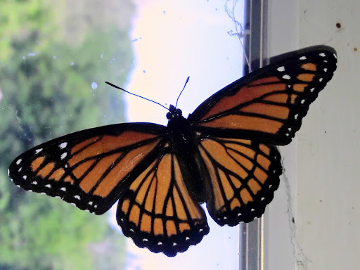 Garden Center «Agriventures Agway», reviews and photos, 126 Housatonic Ave, New Milford, CT 06776, USA