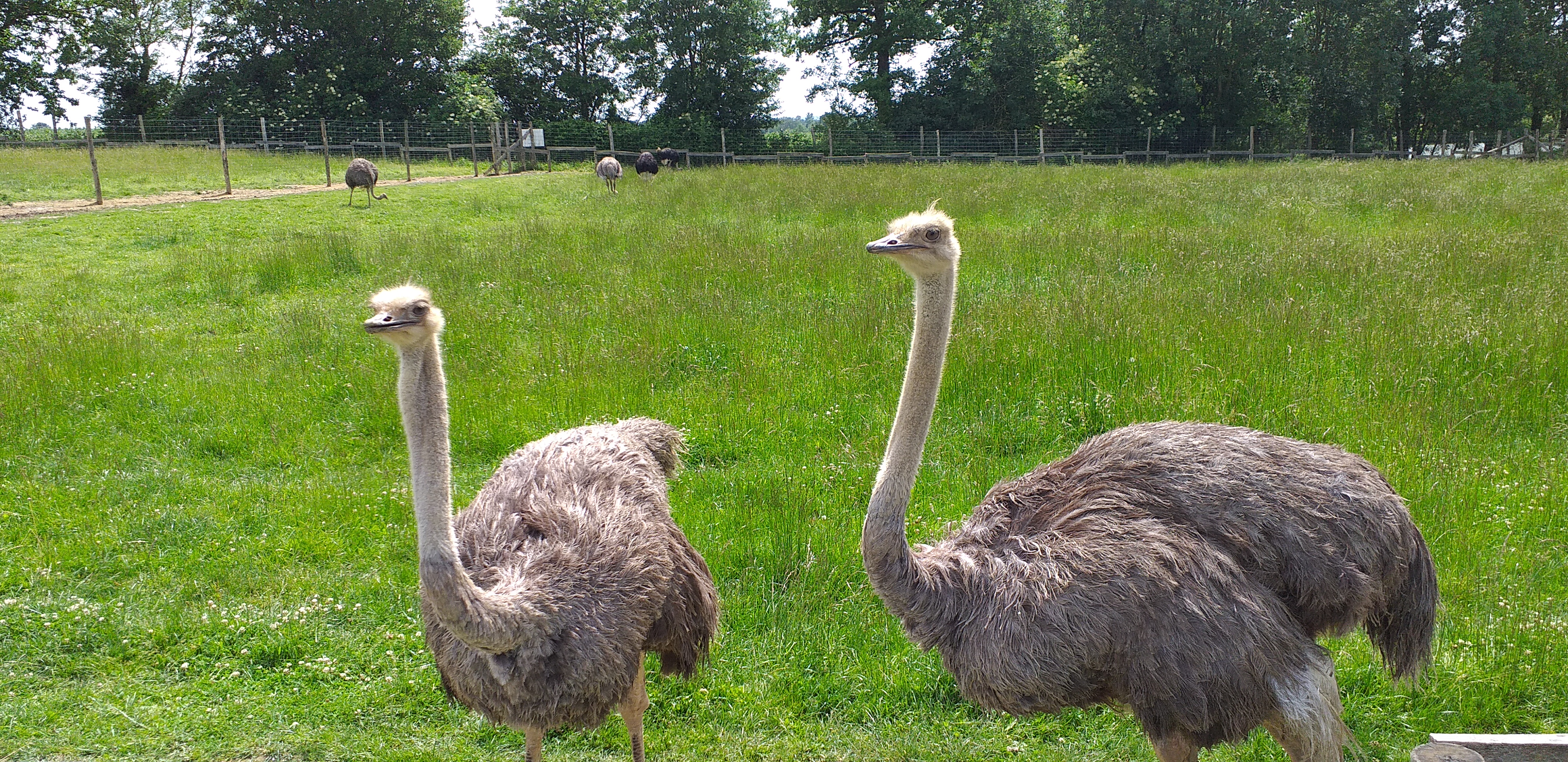 Photo n° 2 de l'avis de fanny79000. fait le 08/06/2019 à 18:43