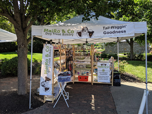 Arts Organization «Fairfield Community Arts Center», reviews and photos, 411 Wessel Dr, Fairfield, OH 45014, USA