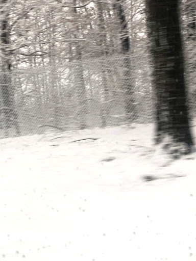 Golf Club «Colonial Springs Golf Club», reviews and photos, 1 Long Island Ave, Farmingdale, NY 11735, USA