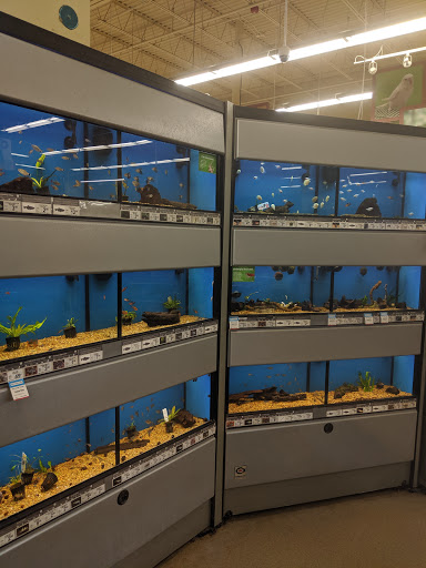 Pet Supply Store «Petco Animal Supplies», reviews and photos, 11111 San Jose Blvd #57, Jacksonville, FL 32223, USA