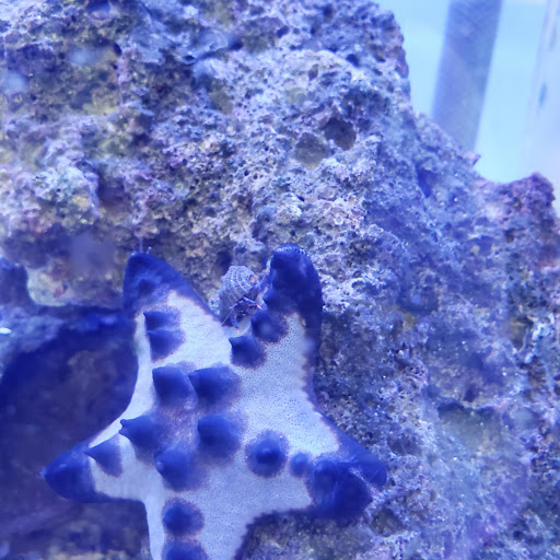 Pet Store «Animart», reviews and photos, 4303 E Towne Way, Madison, WI 53704, USA