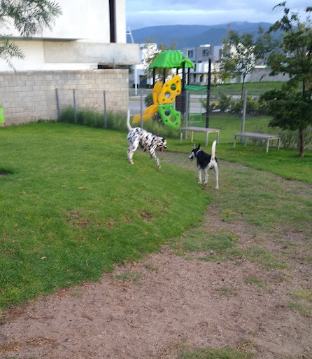 Parque Canino Adamar