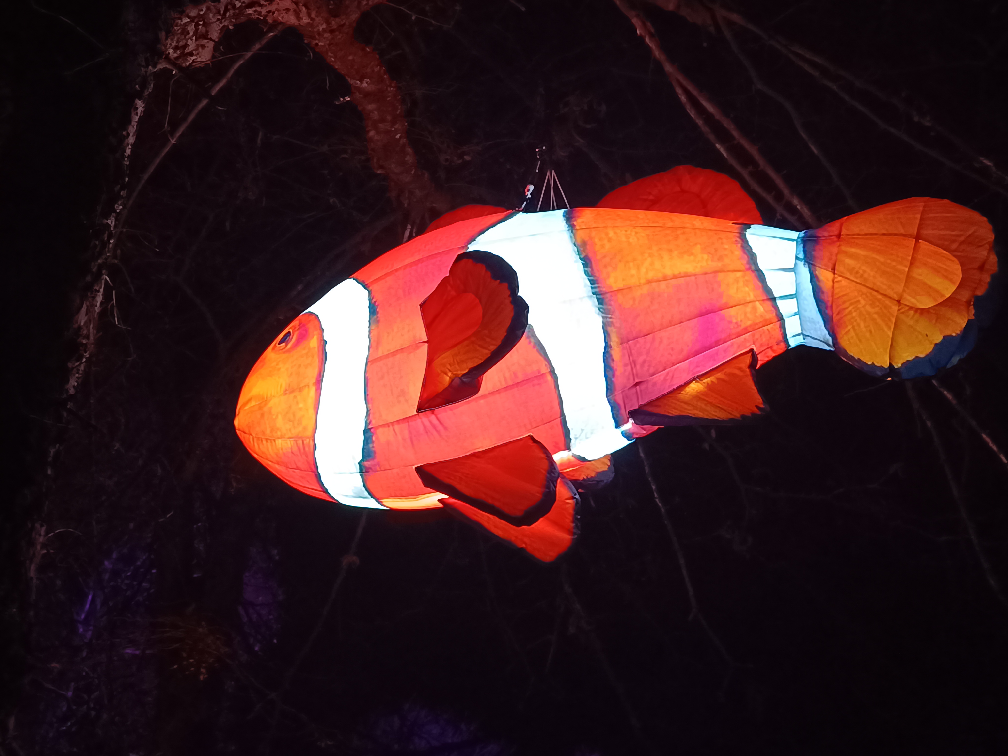 Photo n° 4 de l'avis de Ismail.G fait le 26/02/2024 à 19:08