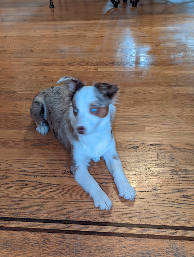 Pet Supply Store «Mud Bay», reviews and photos, 24107 SE Kent Kangley Rd, Maple Valley, WA 98038, USA