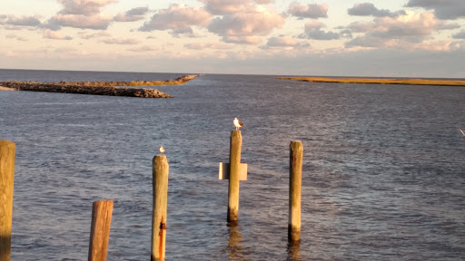 Nature Preserve «DuPont Nature Center», reviews and photos, 2992 Lighthouse Rd, Milford, DE 19963, USA