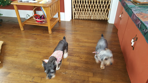 Colbert Animal Hospital