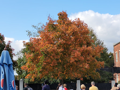 Rail Museum «Baltimore & Ohio Railroad Museum», reviews and photos, 901 W Pratt St, Baltimore, MD 21223, USA