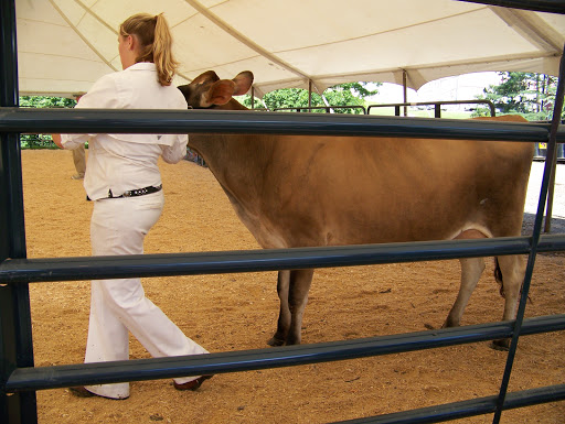 Fairground «Bangor State Fair», reviews and photos, 515 Main St, Bangor, ME 04401, USA