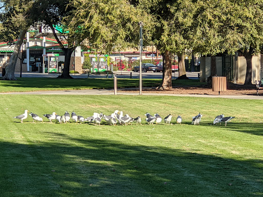 Memorial Park «Veterans Memorial Park», reviews and photos
