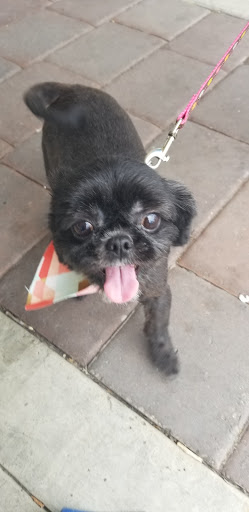 Pet Supply Store «Petco Animal Supplies», reviews and photos, 5481 Lone Tree Way, Brentwood, CA 94513, USA