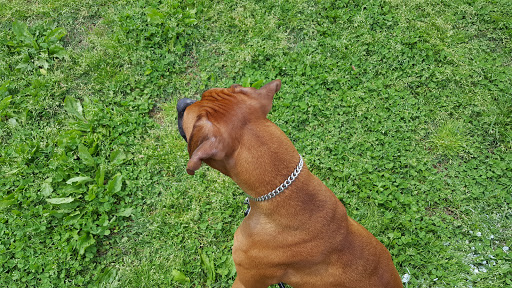 Park «Hounz Lane Park», reviews and photos, 2300 Hounz Ln, Louisville, KY 40223, USA