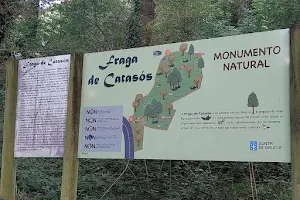 Fraga de Catasós (Monumento Natural) image