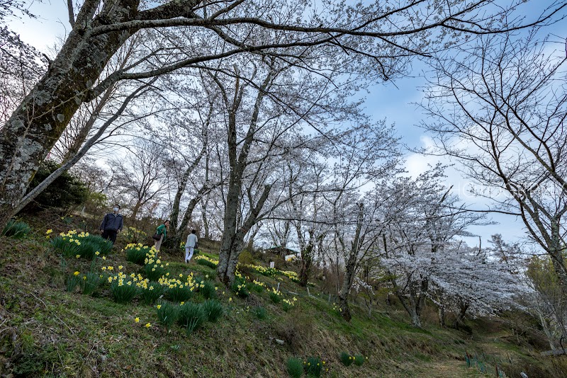 万寿山公園