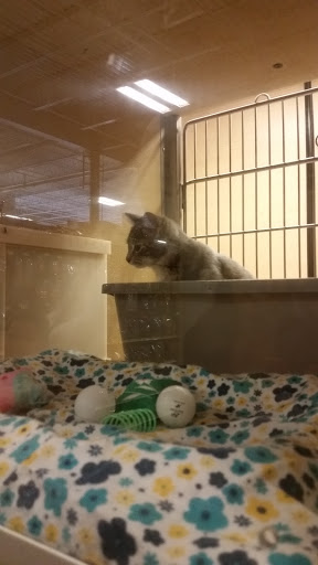 Pet Supply Store «PetSmart», reviews and photos, 248 Westminster Dr, Carlisle, PA 17013, USA