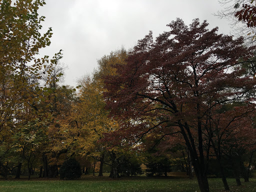 Museum «Ashland - The Henry Clay Estate», reviews and photos, 120 Sycamore Rd, Lexington, KY 40502, USA