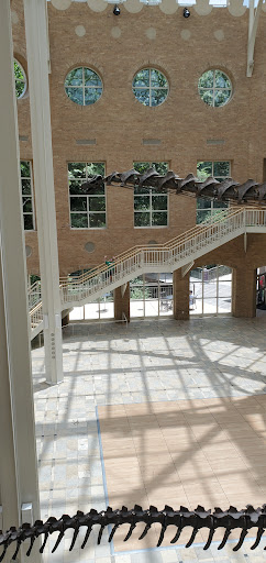 Nature Preserve «Fernbank Forest», reviews and photos, 767 Clifton Rd, Atlanta, GA 30307, USA