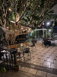 Atmosphère du Restaurant de cuisine européenne moderne Restaurant Terranga Terrasse à Saint-Paul - n°12