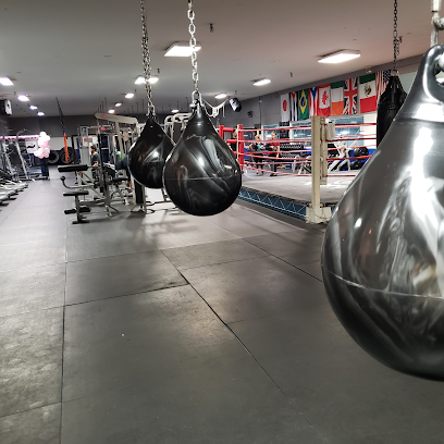 Unbound Synergy Fitness & Boxing - 12425 Taft St Second floor, Pembroke Pines, FL 33028