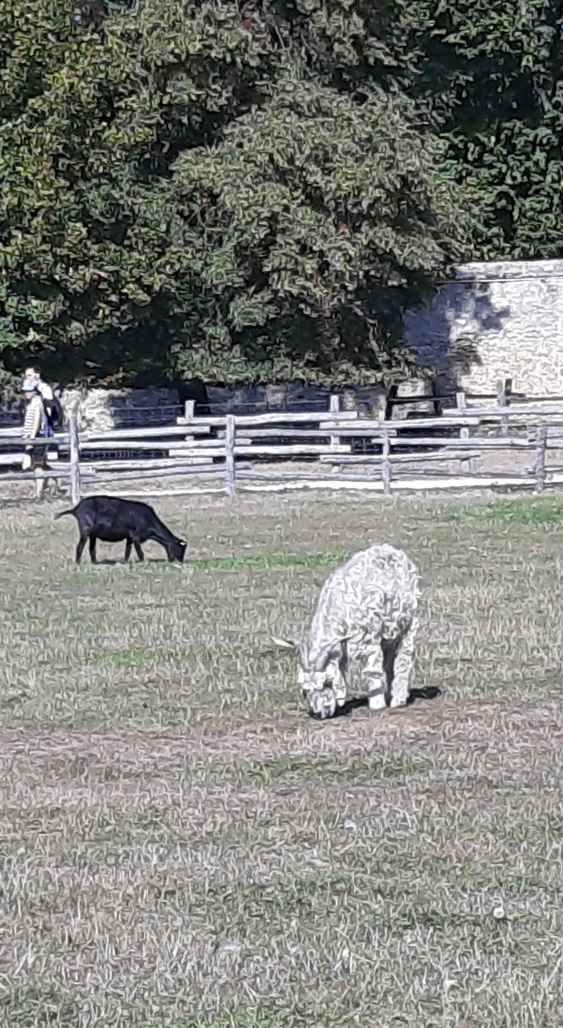 Photo n° 8 de l'avis de betty.o fait le 10/12/2019 à 11:19